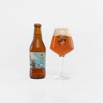 ipa_330